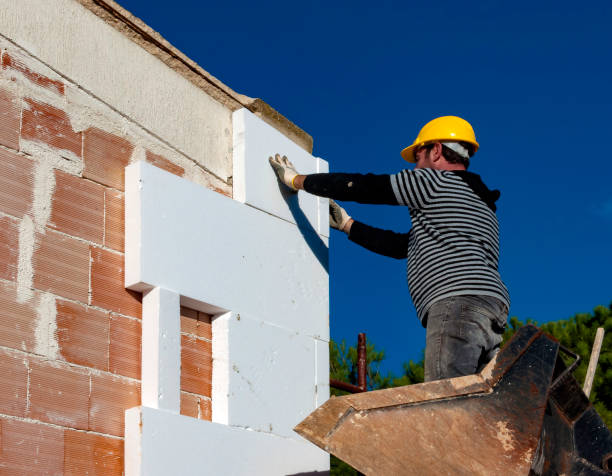 Best Best Insulation Companies  in Chigan Center, MI
