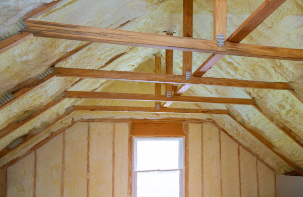 Best Cellulose Insulation  in Chigan Center, MI