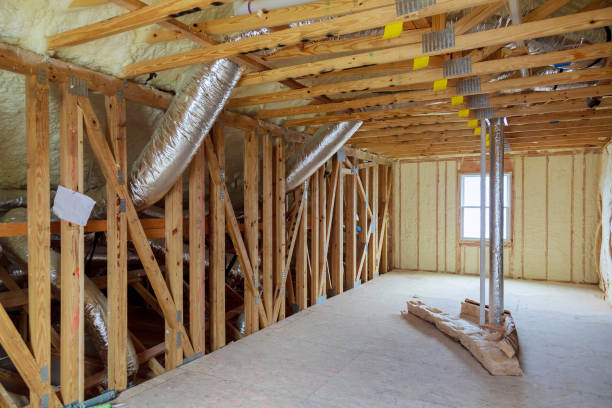 Best Insulation Removal  in Chigan Center, MI
