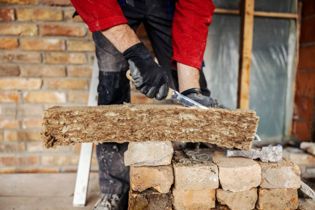 Best Best Insulation Companies  in Chigan Center, MI