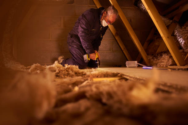 Best Local Insulation Services  in Chigan Center, MI